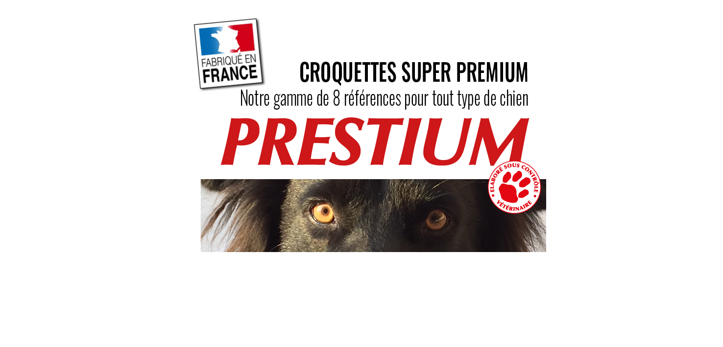 Croquettes Prestium